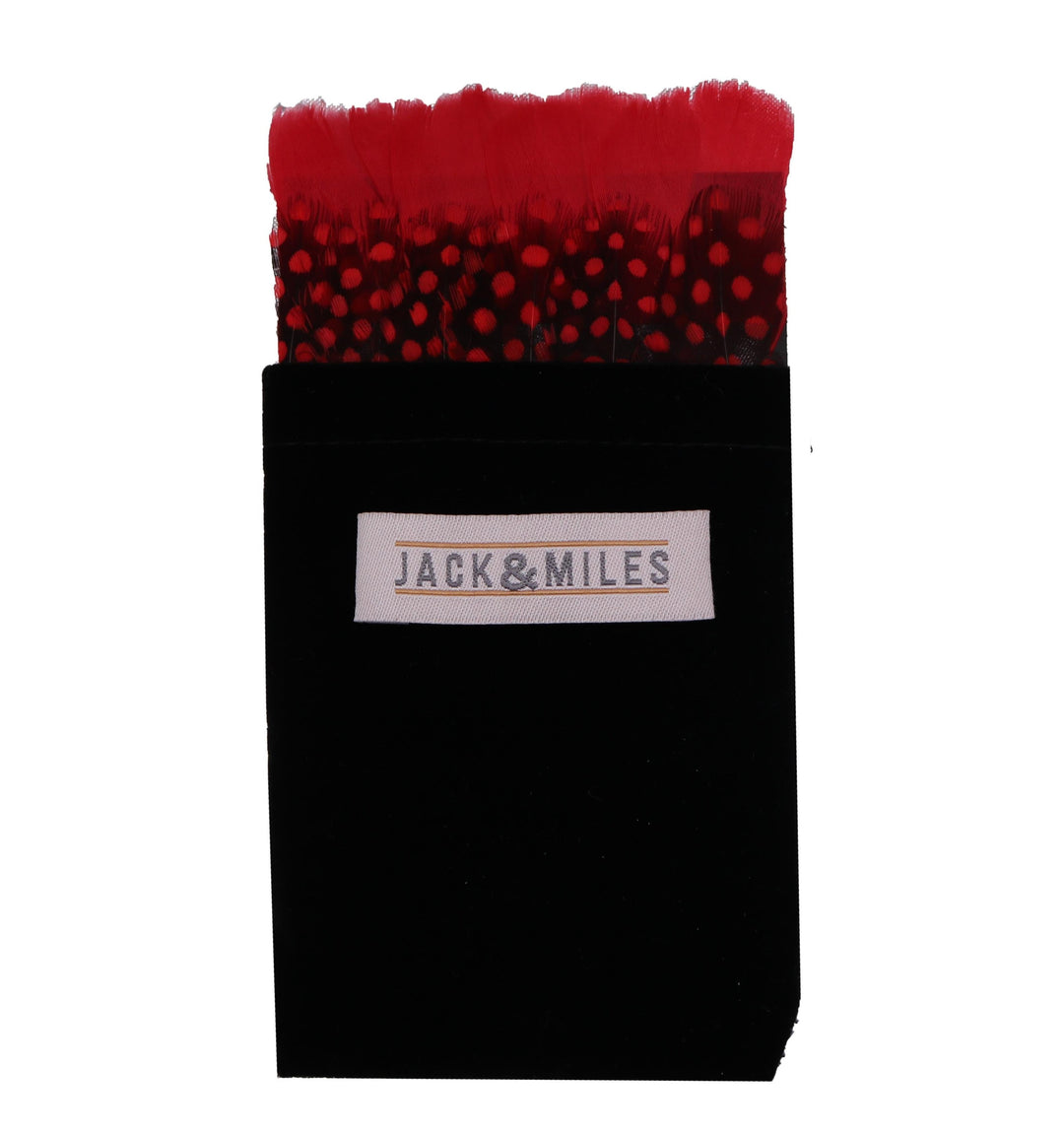 Jaxon Full Tux Set | Feather Bow Tie |+ Pocket Square | + Cuff Links - Jack and Miles