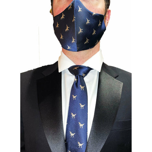 The T-Rex Silk Tie and Mask - Jack and Miles 
